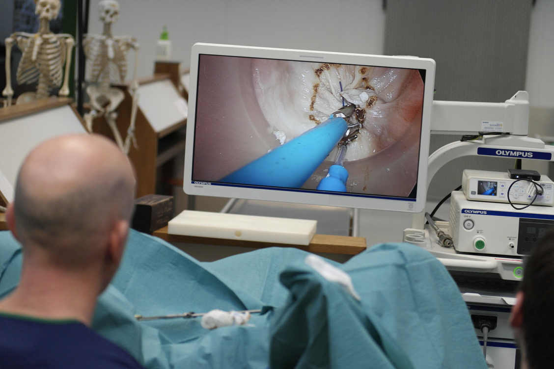 colorized video-parts from cadaver sessions